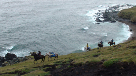 Cabalgatas en Península Mitre